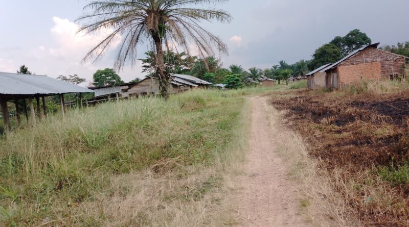 Ituri : massacre sommaire d’une vingtaine de civils par les ADF à Walese-Vonkutu