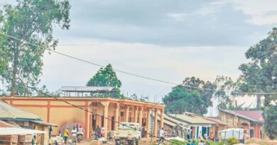 Ituri : : 4 naissances et 2 mariages enregistrés signalé en ce début 2026 à Boga