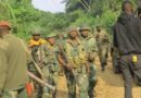 Nord-Kivu : un commandant ADF neutralisé dans une opération conjointe FARDC-UPDF à Lubero