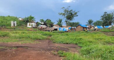 Ituri : découverte de 15 nouveaux corps après l’attaque des ADF à Alima