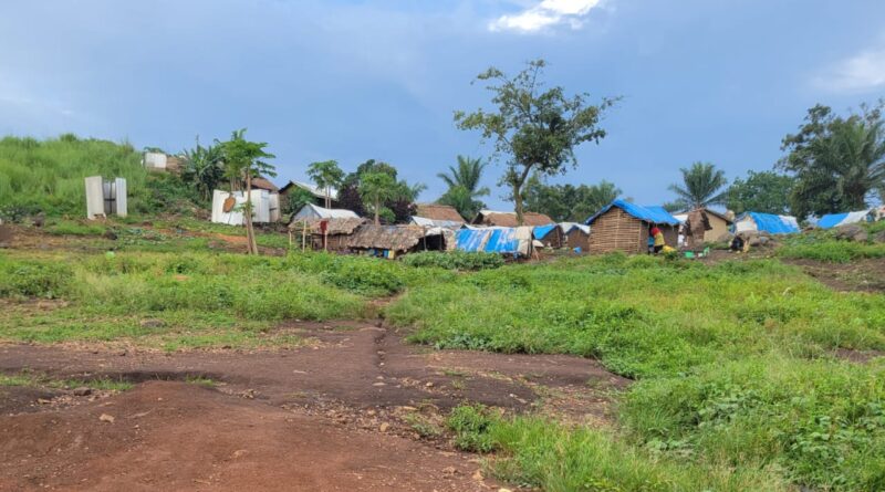 Ituri : découverte de 15 nouveaux corps après l’attaque des ADF à Alima