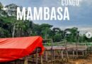 Photo mambasa