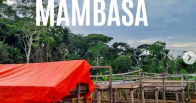 Photo mambasa