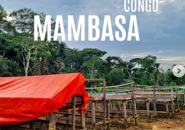 Photo mambasa