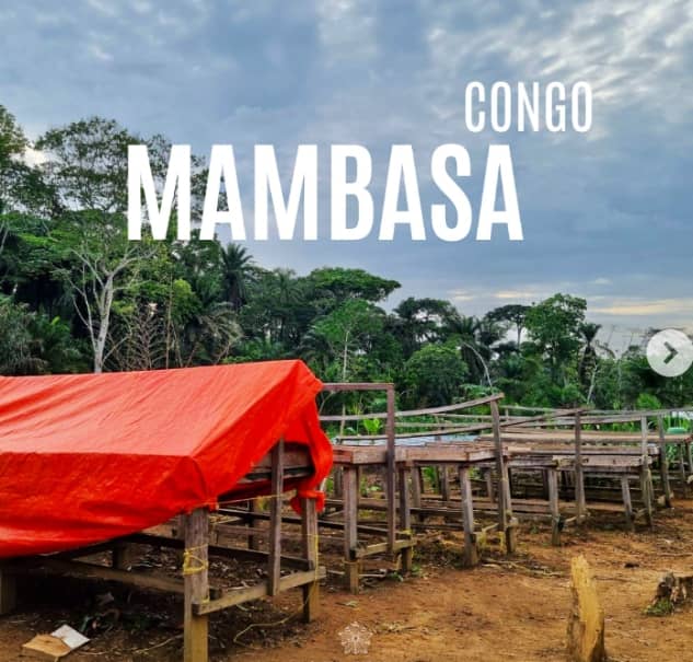 Photo mambasa