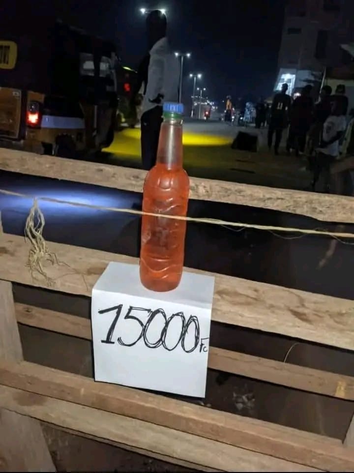 Photo de l'activité